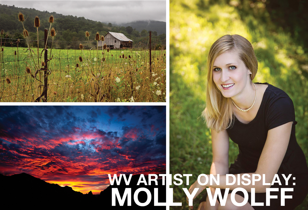 WV ARTIST ON DISPLAY: MOLLY WOLFF