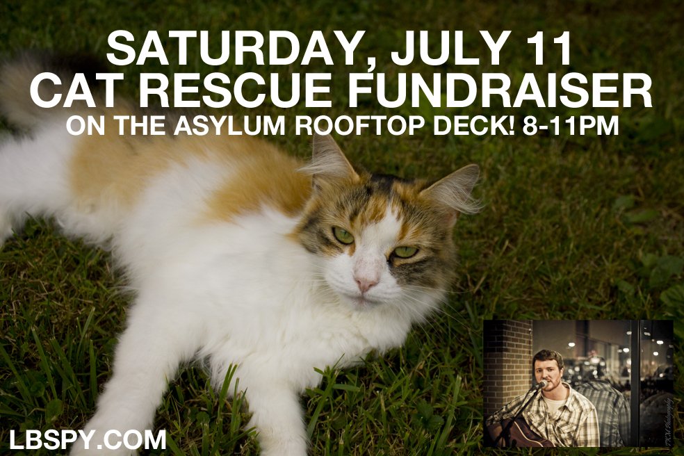 Cat Rescue Fundraiser 2015