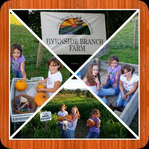byrnside branch farm kids