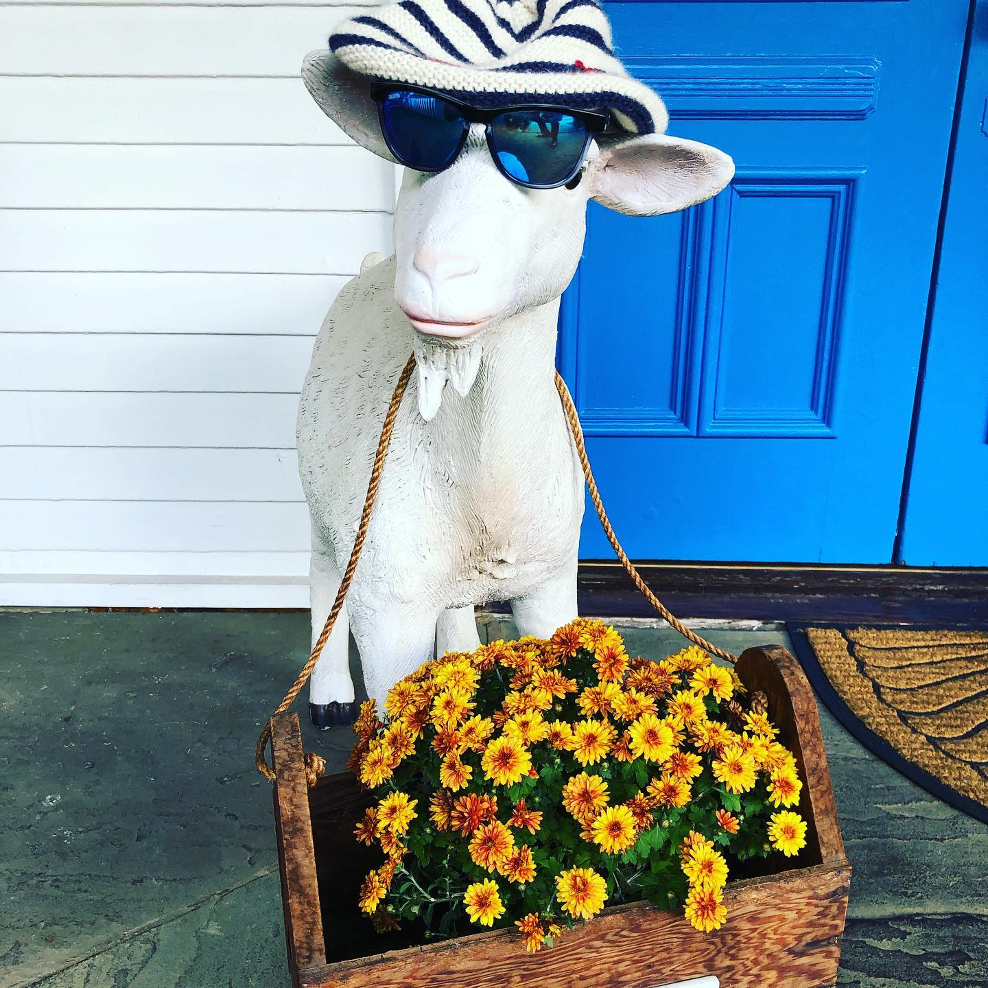 Out & About “Thank you Lewisburg!” from The French Goat Hashtag West